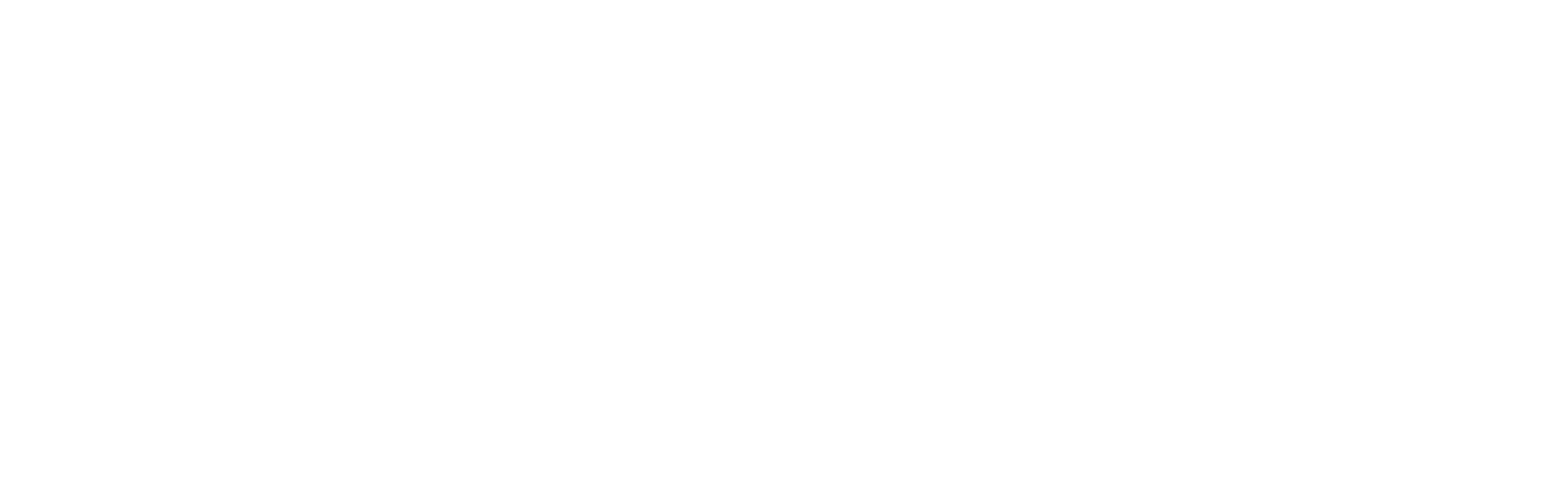 The Dollar Diary